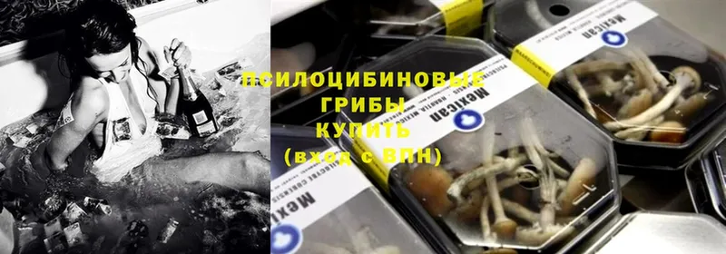 Псилоцибиновые грибы Psilocybine cubensis  где продают   Вилючинск 