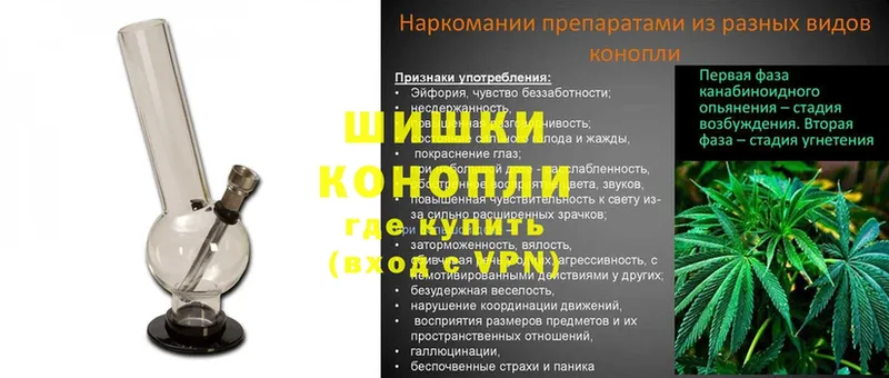 Канабис Amnesia  Вилючинск 